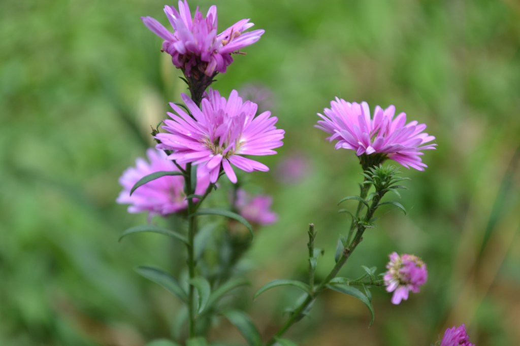 Antara State of Nature dan Fitrah&nbsp;Manusia