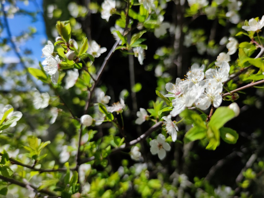 Ilmu Pengetahuan dan&nbsp;Keimanan